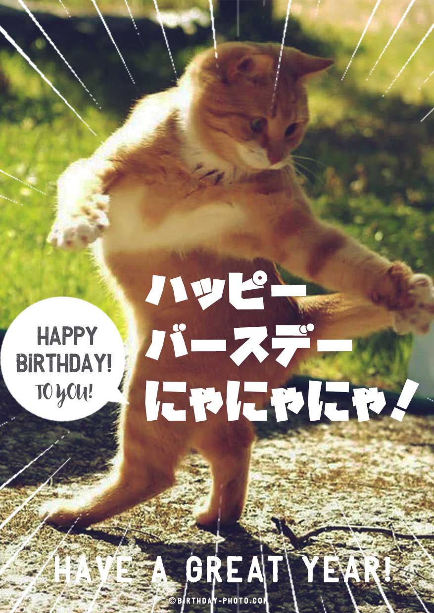 面白い写真 お誕生日おめでとう背景画像素材、無料ダウンロードのためのPngtree 面白い写真 お誕生日 おめでとうのフリー背景ベクトルとpsdファイル