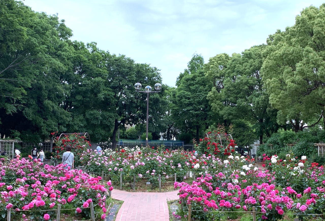 大江戸神輿まつり IN 木場公園