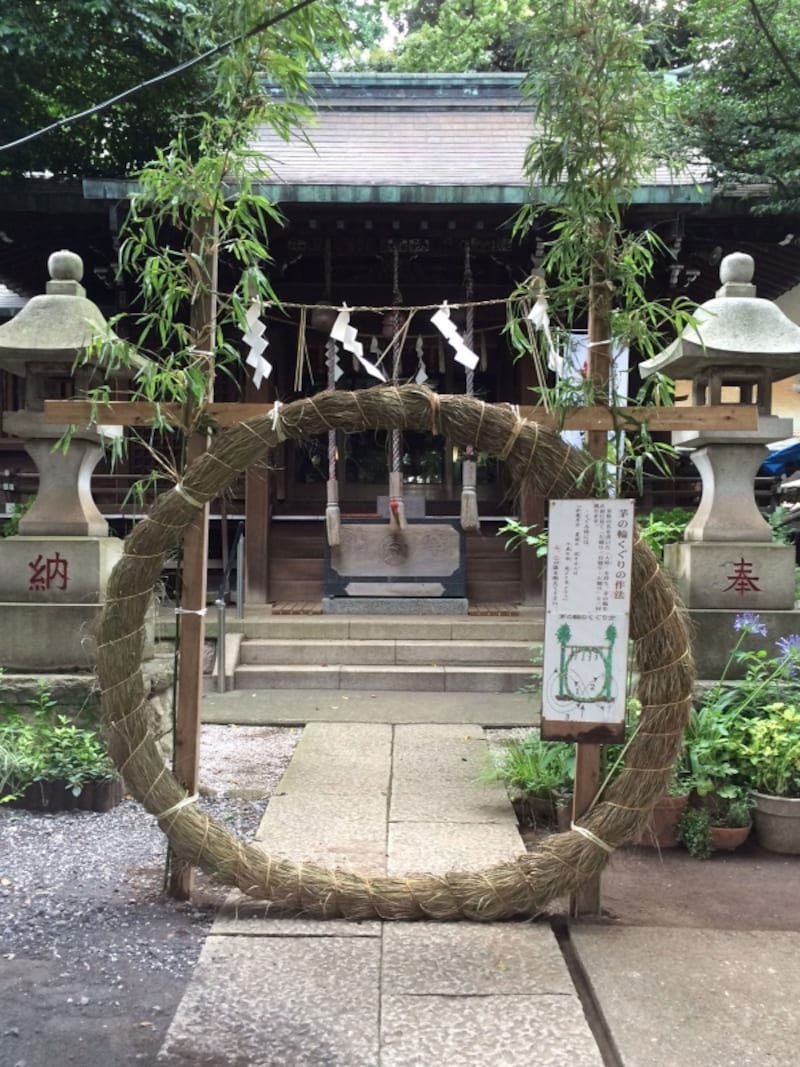 夏越の大祓2025 ヒトガタ祓い・茅の輪くぐり 6 15～7 15まで諫早神社 九州総守護 四面宮諫早神社 九州総守護 四面宮