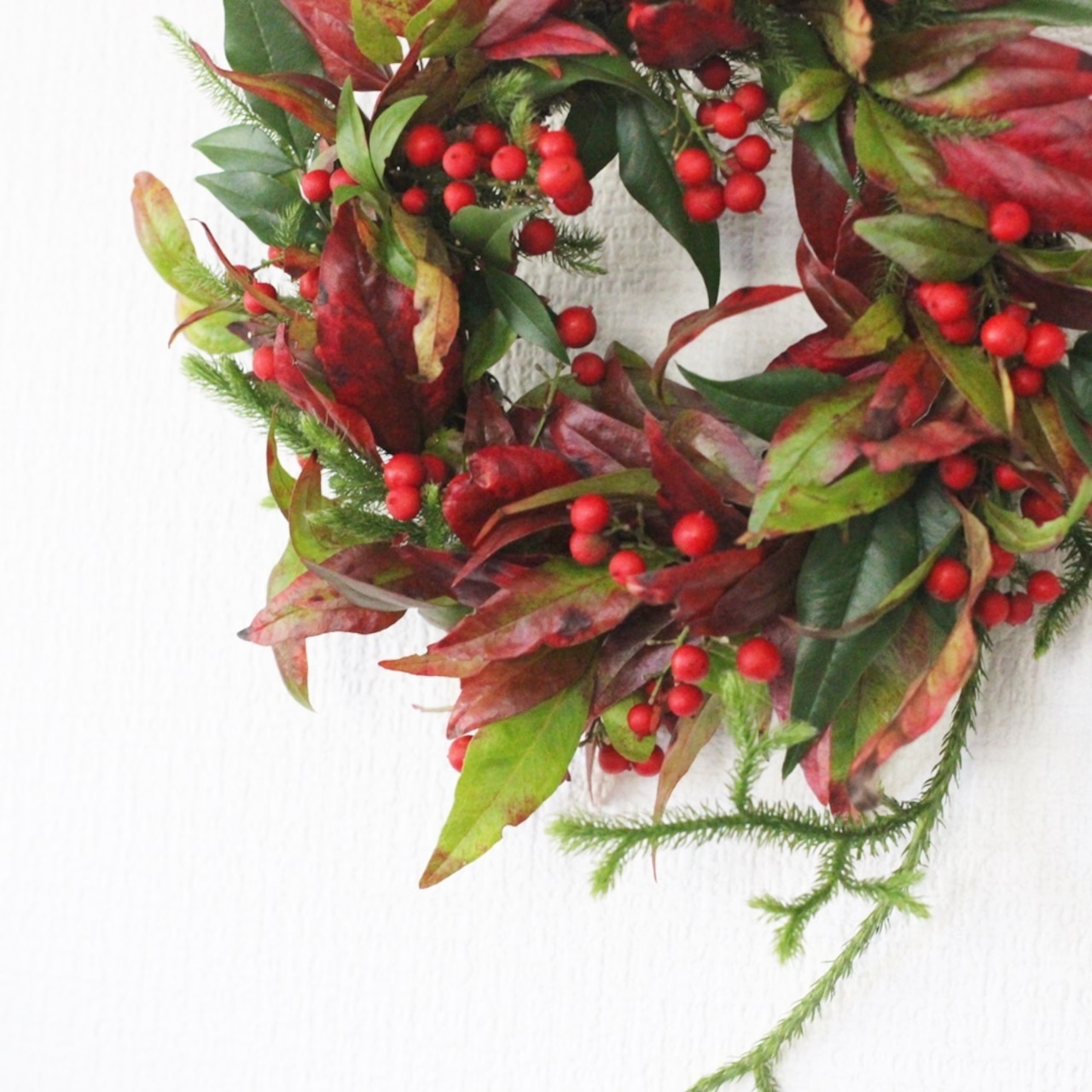 楽天市場 南天 の 実 リースの通販