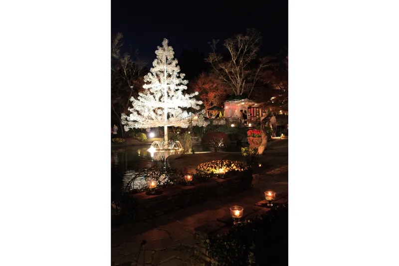 箱根のクリスマスとイルミネーションの写真素材239262461- イメージマート