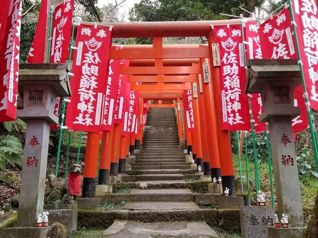 鳥居の意味と起源、歴史とは？色・種類・形状・数・大きさ・材質の違いと意味