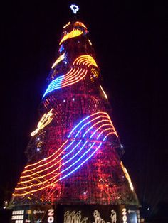 USJ、3年ぶり“ギネス認定”クリスマスツリー復活！“世界最高”の輝きに「言葉にならないくらい感動」 - 女子旅プレス