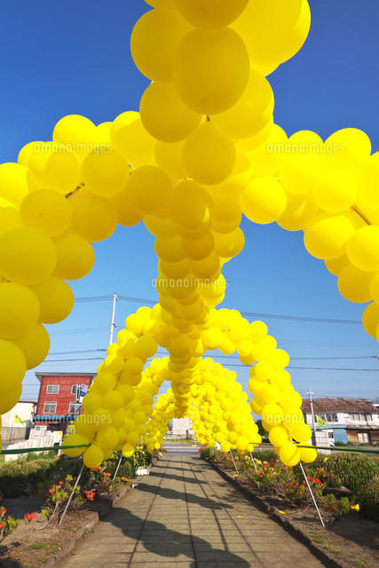 2025たきかわ菜の花まつり～丘陵地に咲く菜の花～ 北海道観光ぐうたび北海道