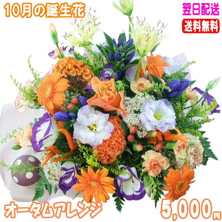 10月24日の誕生花と花言葉です。 - とことこ湘南
