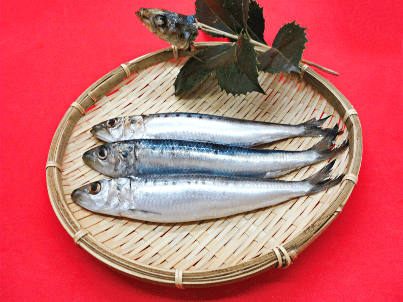 2025年は２月２日！「節分」のひいらぎいわし 柊鰯 とは？ 「節分」にまつわる生きもの豆知識をご紹介！ - 講談社の動く図鑑MOVE講談社