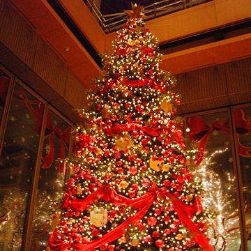 2023-2024 丸の内イルミネーションスポット5選ステキなひとときを過ごせる場所を紹介aumo アウモ