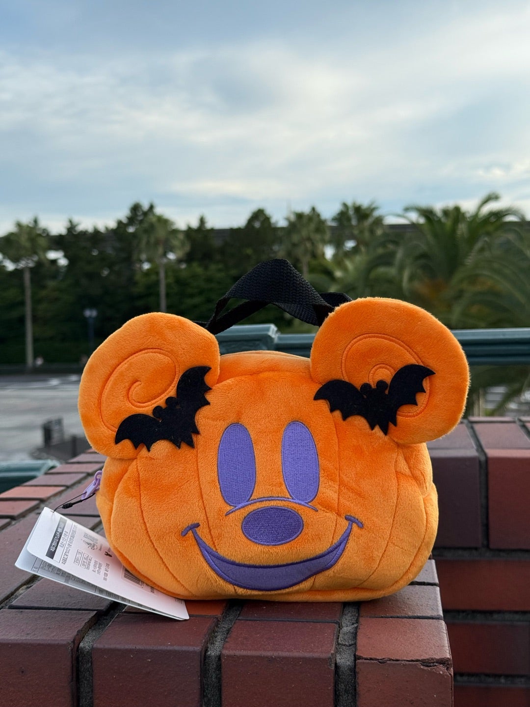 楽天市場 ハロウィン バッグ キャンディバッグ お菓子入れ カボチャバッグ お菓子バッグ バケツバッグ バケット ハロウィンパーティ 手提げ袋ハンドバッグ 小物入れ 大 衣装 手提げ カボチャ おばけ 吸血鬼 猫 子ども : SweetSweet Shop