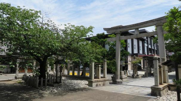 神社の通り道にぎっしり並べられた提灯２ – 無料画像・フリー写真素材ActivePhotoStyle