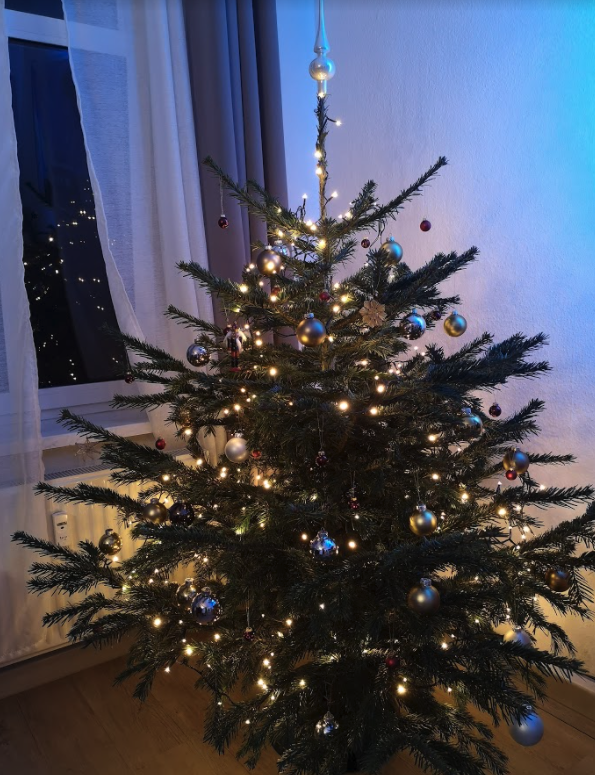 会場に輝く無数の星 ドイツ最古＆世界遺産の街トリーアのクリスマスマーケットが美しすぎる - GOTRIP