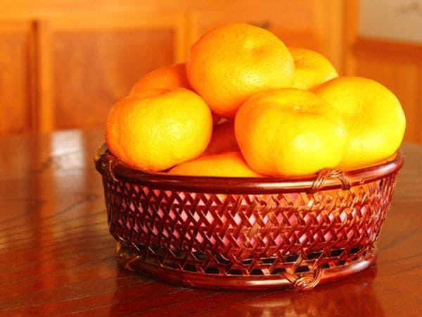 猫用こたつとミカン」1カ月で完売 「農家も猫もハッピーに」「犬や猫ともっと幸せに」をコンセプトにしたWEBメディア「sippo」