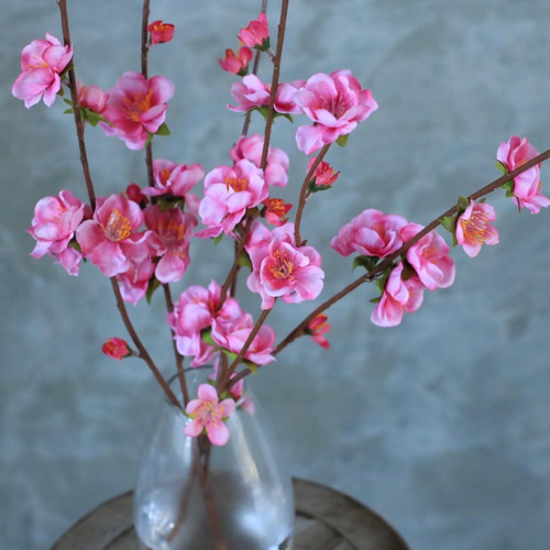 桃の花の切り枝花瓶挿し 花も水もフェイクだから、枯れないお手入れがいらない💫 花びらのヒラヒラとした可愛らしい花桃🌸発色が美しく、お部屋に春を呼んでくれます スマートな花瓶に高さある枝ぶりでテーブルのメイン装花にもおすすめな一点 桃の花切り枝花瓶挿し