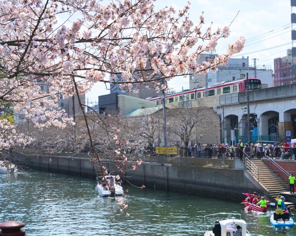 2025年大岡川の「第２回みなみ桜まつり」、屋台は何日間？駐車場情報と混み具合もご案内！木の葉ブログ