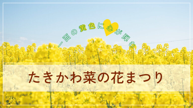 フォトレポート 2024たきかわ菜の花まつり 滝川市かわたびほっかいどう