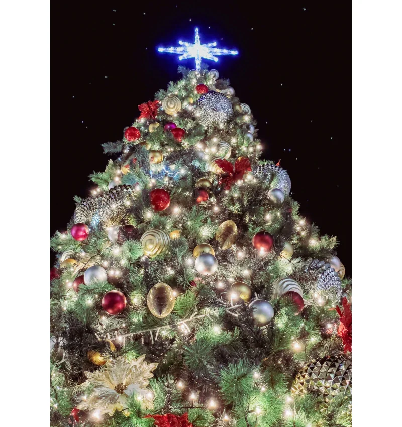 美しいクリスマスツリー星との結晶 - イラストレーションのベクターアート素材や画像を多数ご用意 - イラストレーション, クリスマス, クリスマスの飾り- iStock