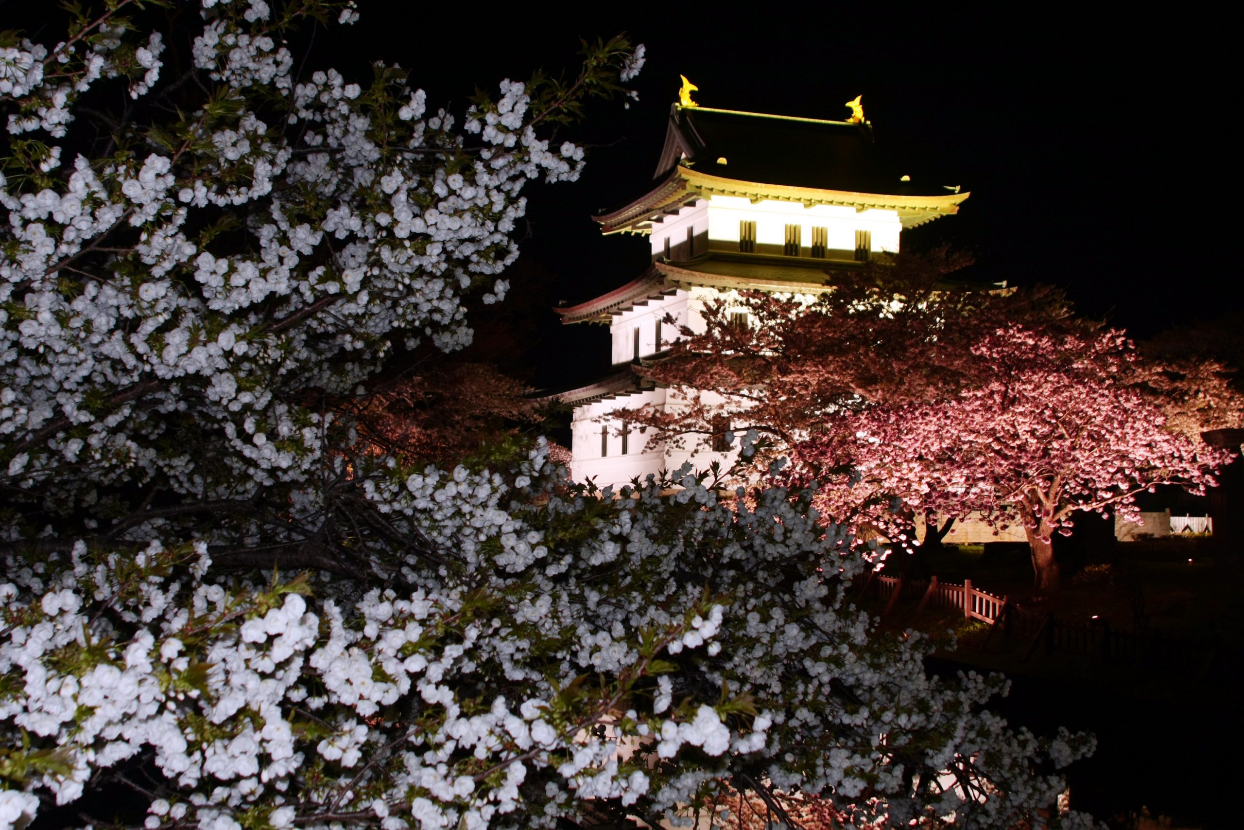 藏前神社 - 蔵前神社公式ホームページ
