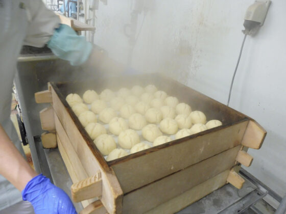 ひな祭りに飾る花の意味とは？ひな祭りに欠かせない種類や飾り方を解説BOTANICA