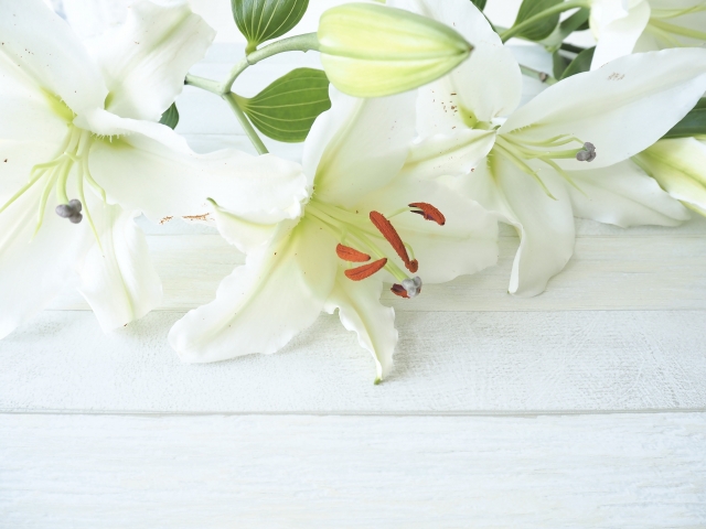 故人の好きな花を描いた喪中はがき - 年賀状2026