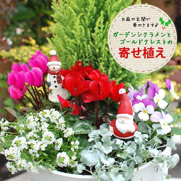 クリスマスの寄せ植え＆森の動物たちが集まるかわいいガーデンクリスマスGardenStoryガーデンストーリー