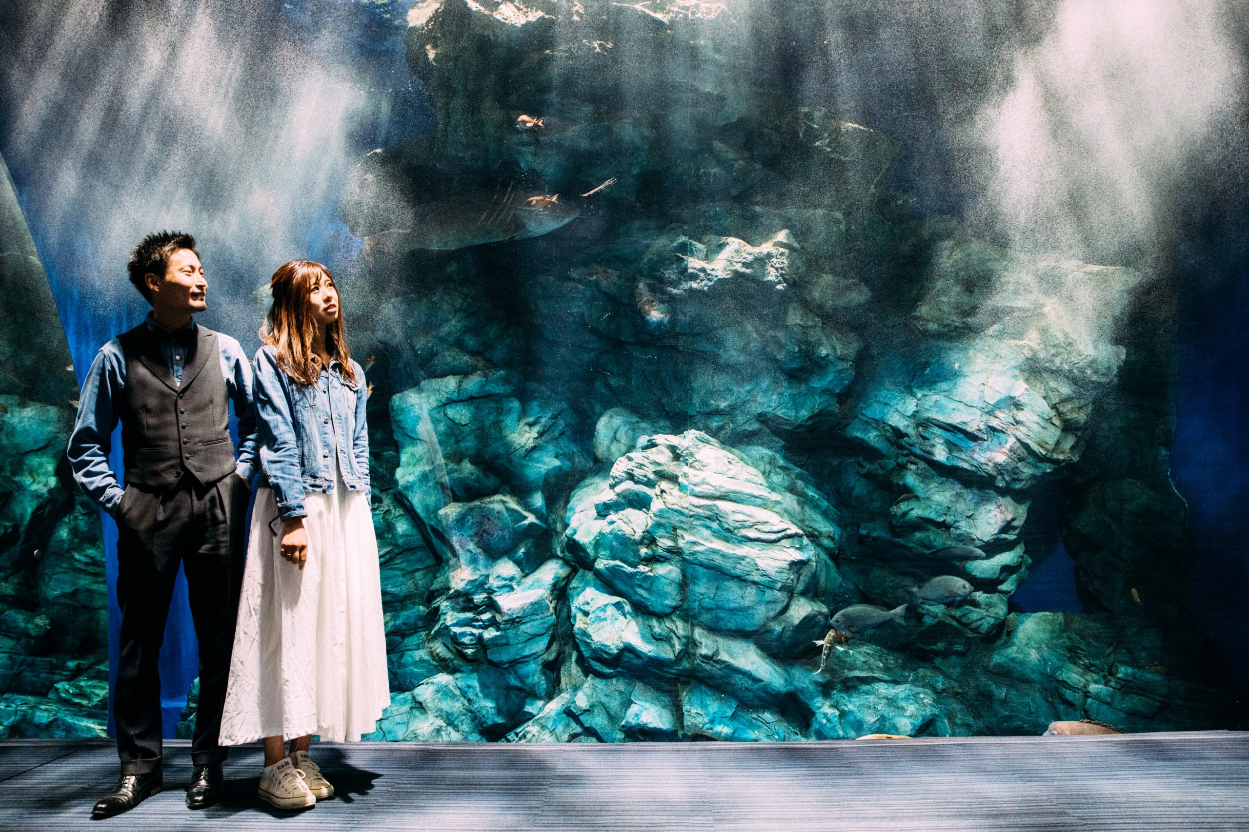 マリンワールド海の中道フォトウェディング・前撮りに人気のロケーションスポット福岡・九州でフォトウェディング・前撮りならウェディング セレクト！フォトウェディング