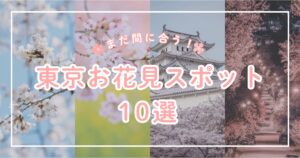 2025年 上野公園の屋台・キッチンカーはどこで何時まで？おすすめのグルメや混雑とトイレの場所も紹介 – 生活お役立ちブログ