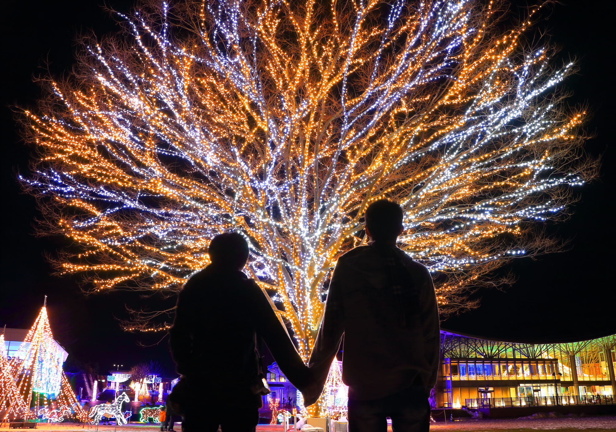 カップルのクリスマスの過ごし方！2025年おすすめデートプラン＆演出アイデア集