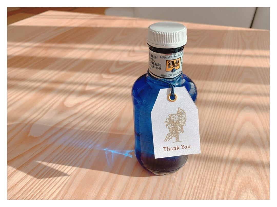 お茶ギフト2本セット ペットボトル 350ml×2本雪国紅茶 雪国緑茶 ギフトセット 村上茶 紅茶 お茶 新潟 冨士美園 北限茶処 胎内高原天然水お礼 お返し プチギフト プレゼント -新潟のお米専門店 いなほんぽ - プレゼント＆ギフトのギフトモール