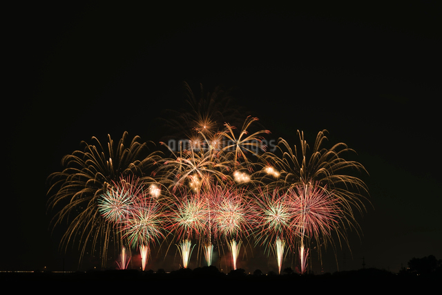 rockin'star Carnival