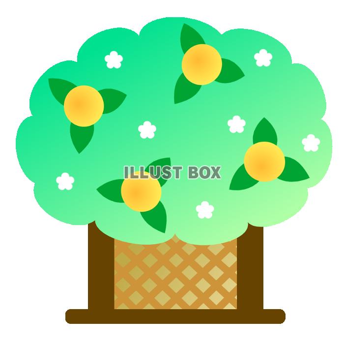 雛人形 コンパクト おしゃれ 雛飾り 今どき 飾り桜と橘 お雛様 ひな祭り ひな人形 雛 ひな おひな様 雛付属品 : 和雑貨京ぜんび - 通販- Yahoo!ショッピング