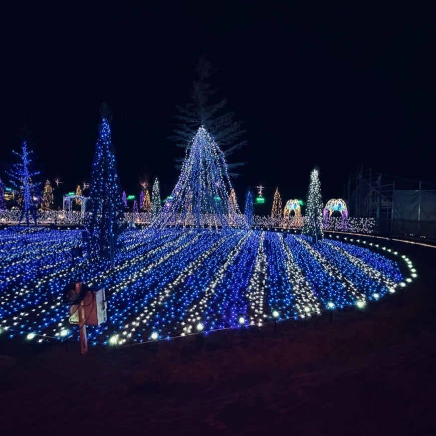 HIKARIUM -ヒカリウム-ローザンベリー多和田