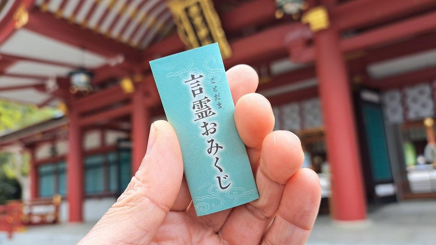 NISSOおみくじ学校法人 松本学園