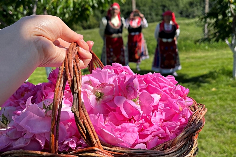 2年ぶりに開催！ブルガリアのバラ祭り 近隣の村でのバラ摘みの儀式地球の歩き方