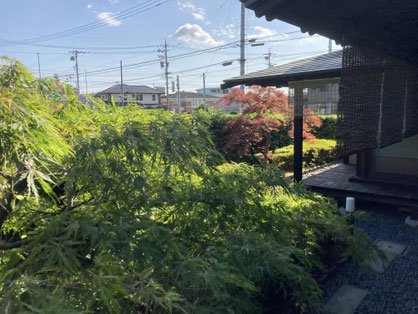 お店 JAZZとレトロな雰囲気が魅力。「昭和モダン珈琲 茶楽音。」ぽけろーかる 公式観光スポット記事