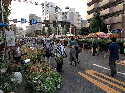 ７月6.7.8日入谷朝顔まつり浅草 酒膳一文