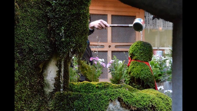 大阪・ミナミの水掛不動尊、石像２体の「コケ」はがされる 反省する男性「みすぼらしかった」 : 読売新聞