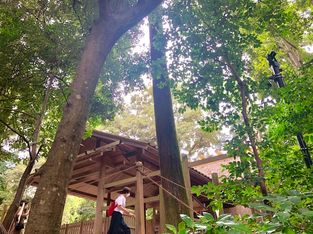 伊勢神宮 外宮-公式 三重県鳥羽市相差 味の宿みち潮