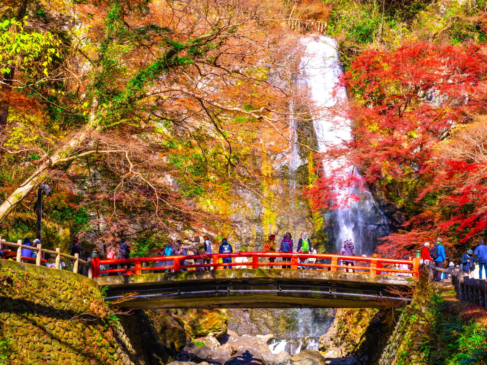 万博記念公園花火イベント 山荘 風の杜のブログ - 宿泊予約は＜じゃらんnet＞