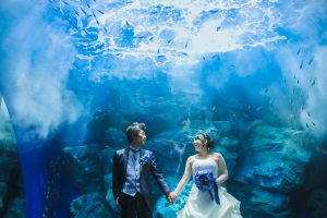 JuneBride 初夏ペシャル企画 水族館ウェディングザ・ロイヤルクラシック福岡 マリンワールド海の中道