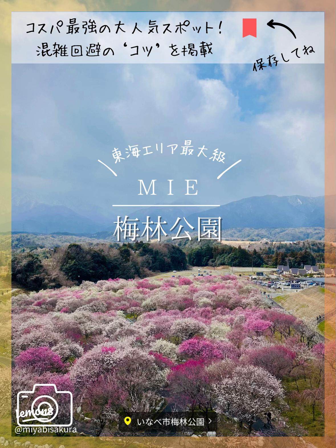 設立10周年企画『2025いなべ市農業公園梅まつりInstagramフォトコンテスト』入賞作品が決定しました。いなべに行こに。-四季を感じる癒しのまち -いなべ市観光協会