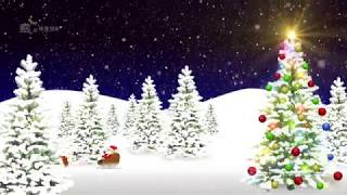 映画『ドクター・ドリトル』クリスマスメッセージ動画