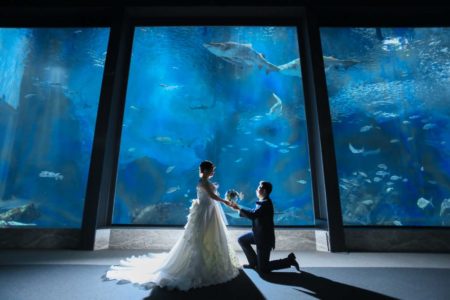 マリンワールド海の中道水族館 - 結婚が決まったらピュアナビ PURE-NAVI