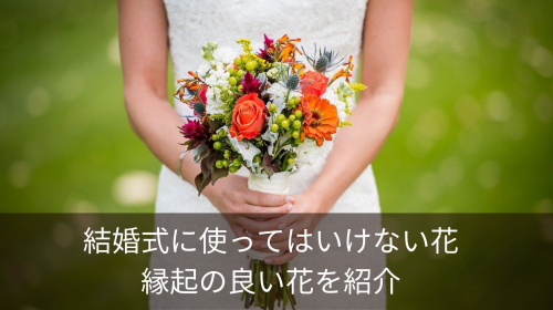 桜で結婚写真の前撮が最高におすすめな５つの理由ウェディングフォト.com