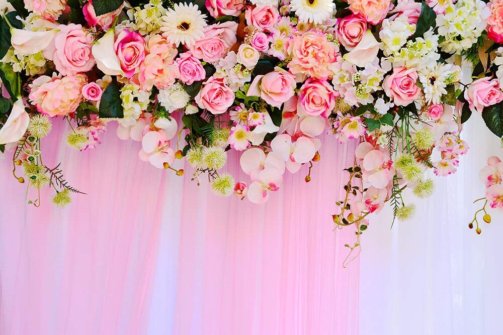 池田慈ピアノリサイタル2024イマナニ 四国のイベント情報