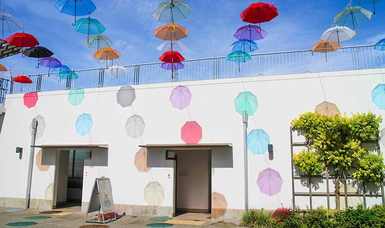 西船橋駅、新宿駅発＞インスタ映え間違いなし美しい傘 のパラソルワールドのハーブ園と神秘の沼五色沼周辺でミニハイキングと花の苑緑水苑で癒され花鑑賞♪長距離運転2名ドライバーで安心♪ゆったりシート設定で快適ゆったりシート設定で快適♪