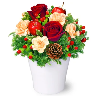 贈り物に最適！クリスマスの花特集！ – &YOUKAENアンドユーカエン