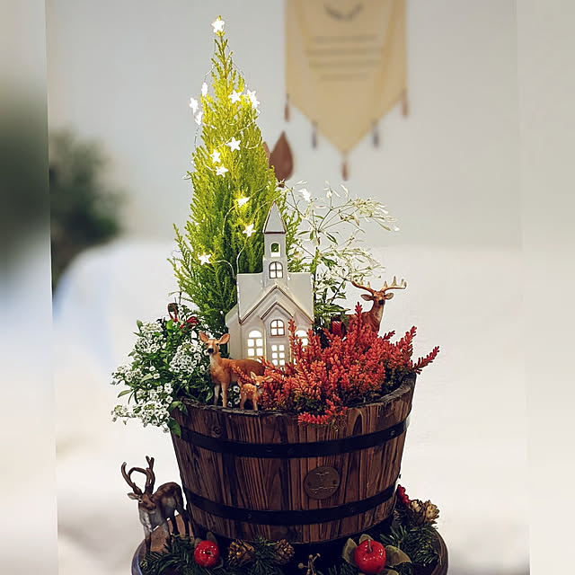 クリスマスに向けた寄せ植え☆ なんば店みどりの雑貨屋