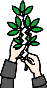 日本の墓：神式の葬儀：神式の作法