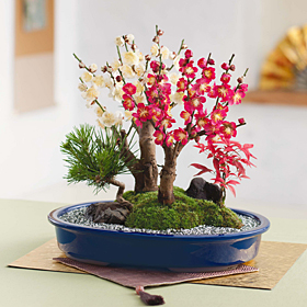 年賀状で使われる干支・縁起物イラストの意味と選び方を解説