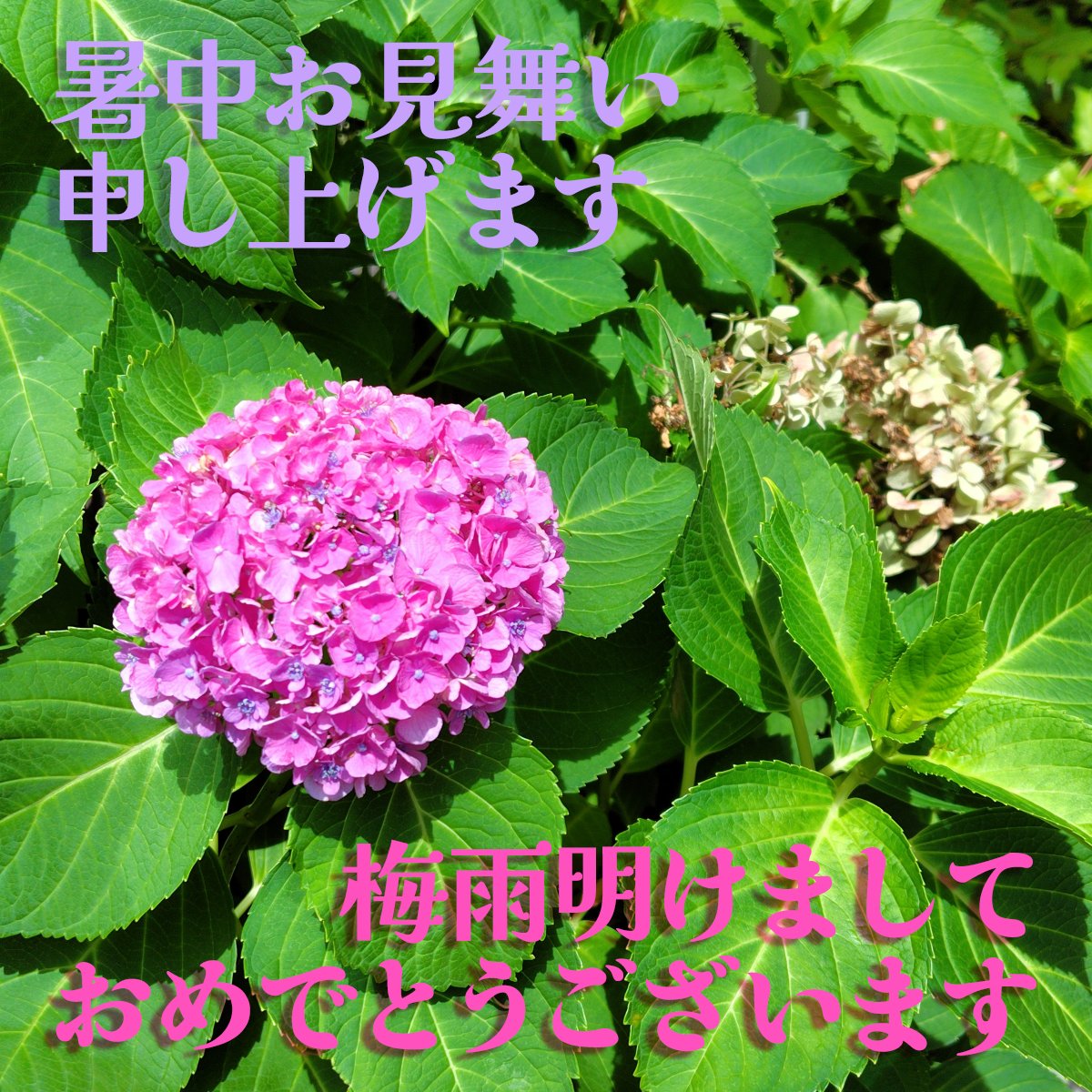 手づくり梅雨見舞いカード完成！ 日本で人気上昇中のクラフトツール、再登場！ : from MB in SD