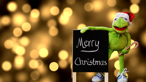 〇×クイズ20問 クリスマスの豆知識を学べる！高齢者も満足の12月クイズハートページナビ